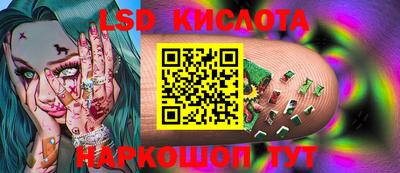 меф Кингисепп