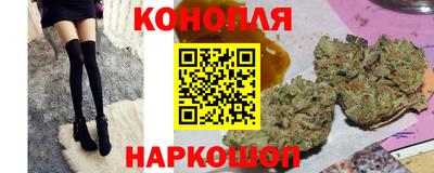 меф Кингисепп