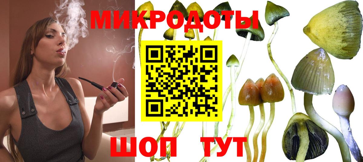 Галлюциногенные грибы Magic Shrooms Кострома