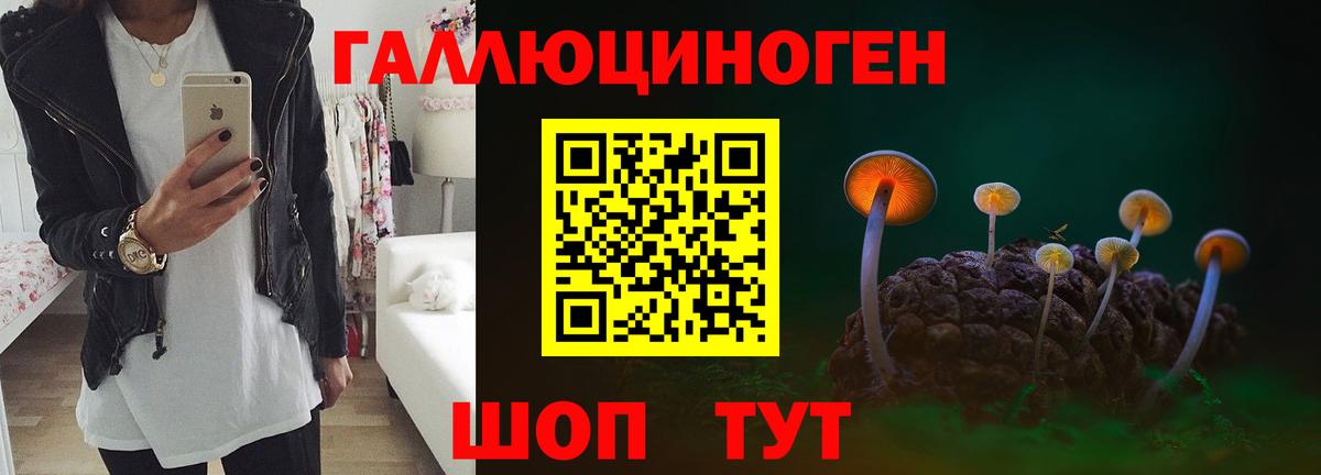 где купить наркоту  Псилоцибиновые грибы Psilocybine cubensis  Вход с VPN  Кострома 